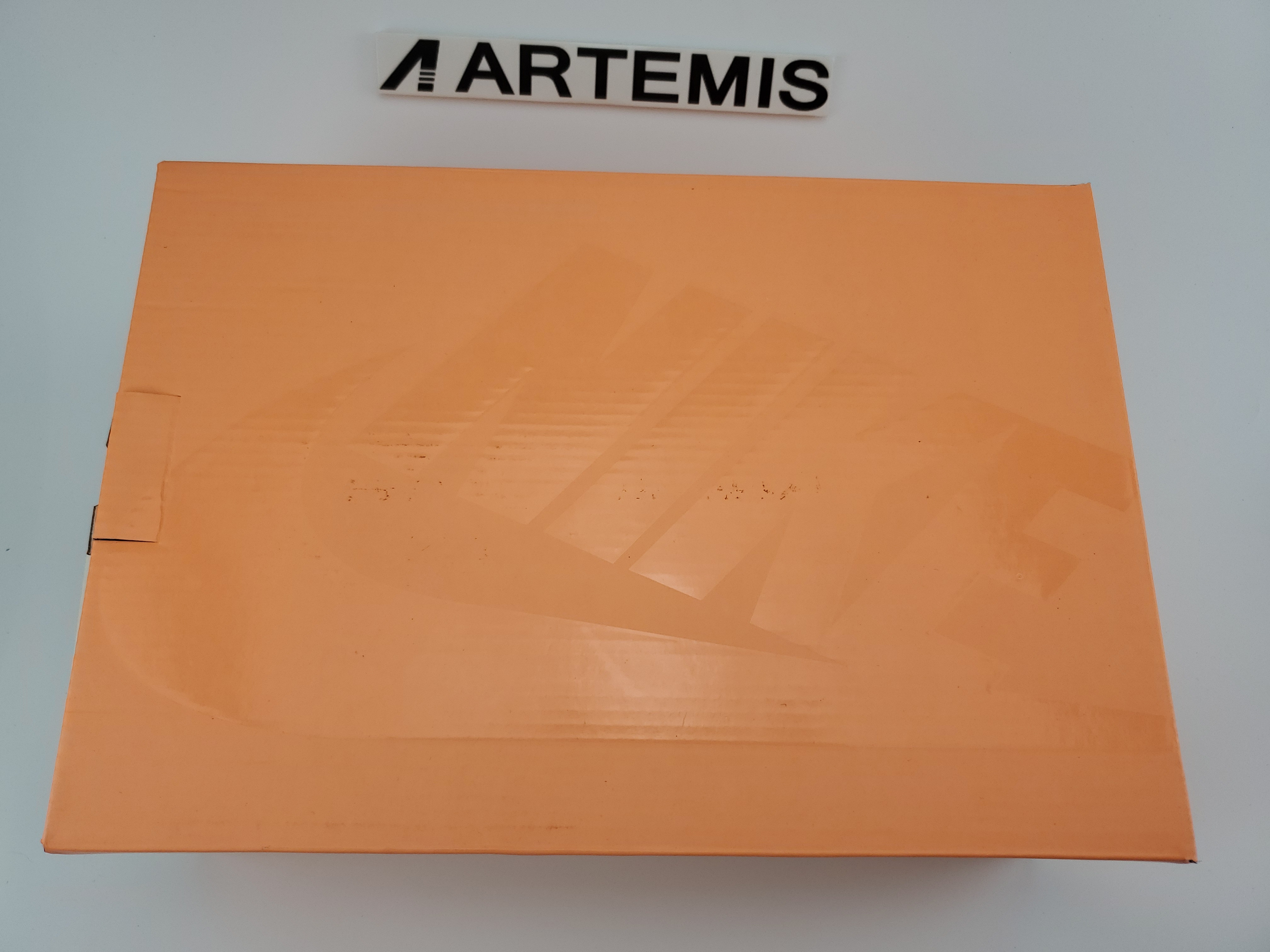 Air Fear of God Raid Light Bone