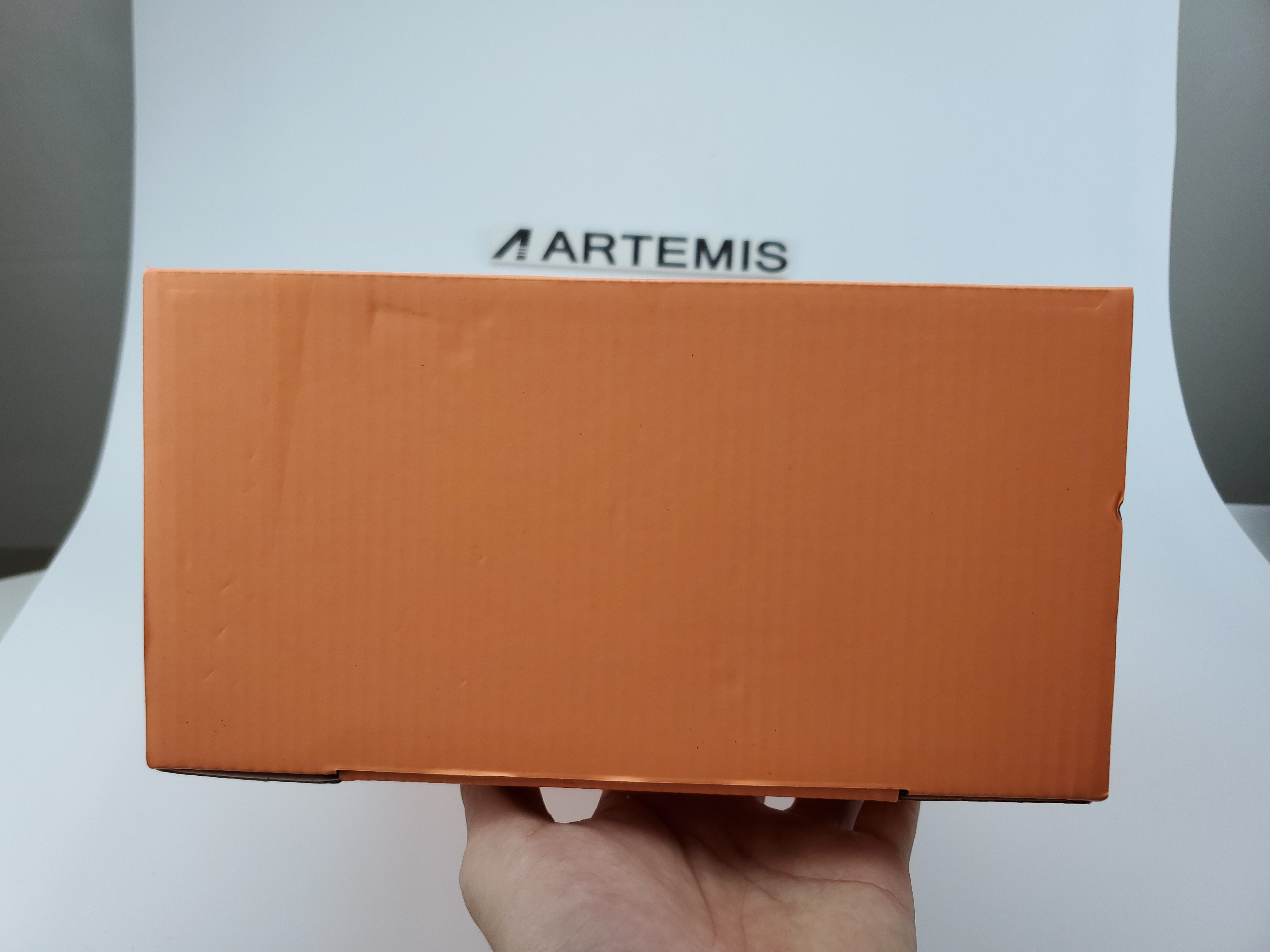 Air Fear of God Raid Light Bone