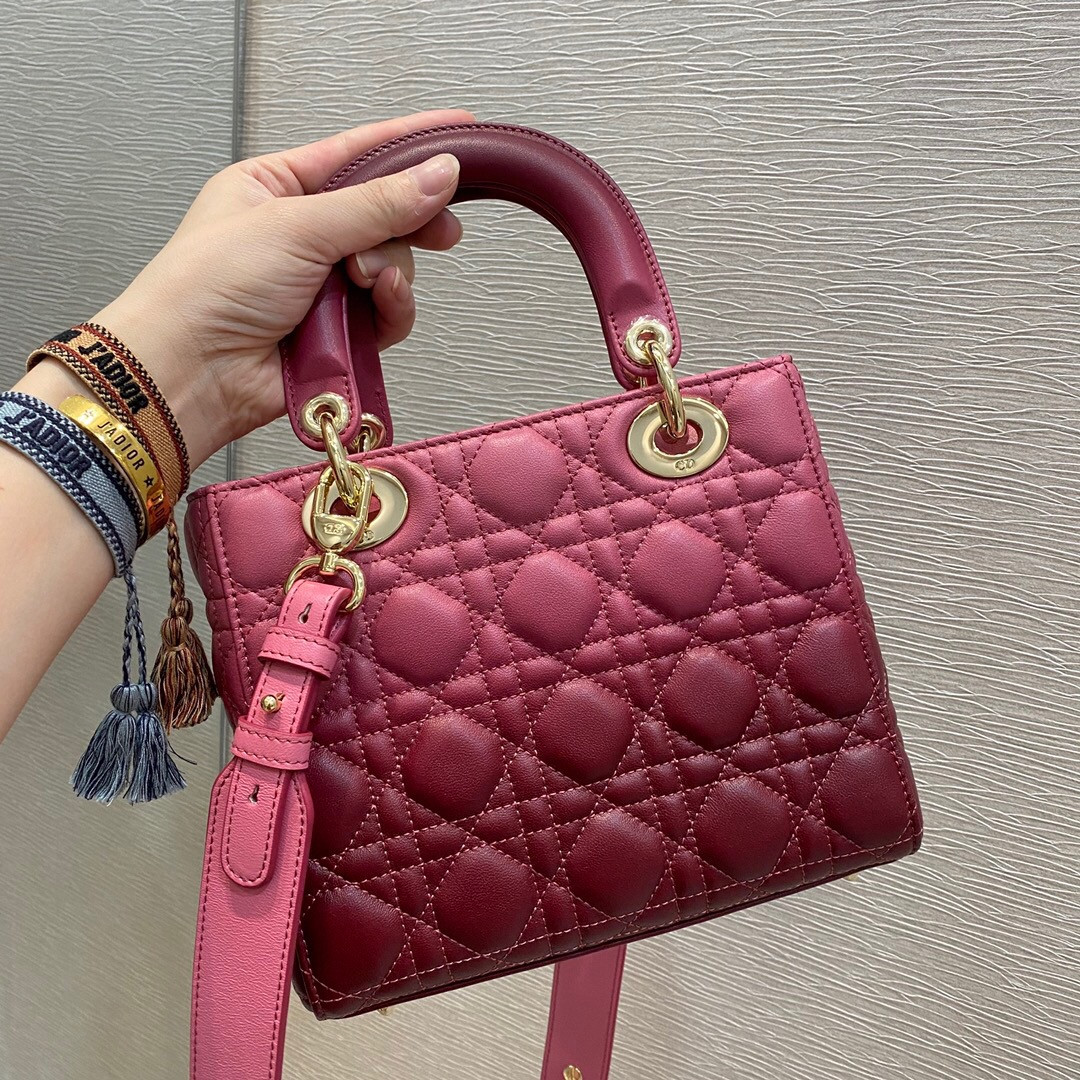 small lady D*or bag 8 x 6.5 x 3 inches